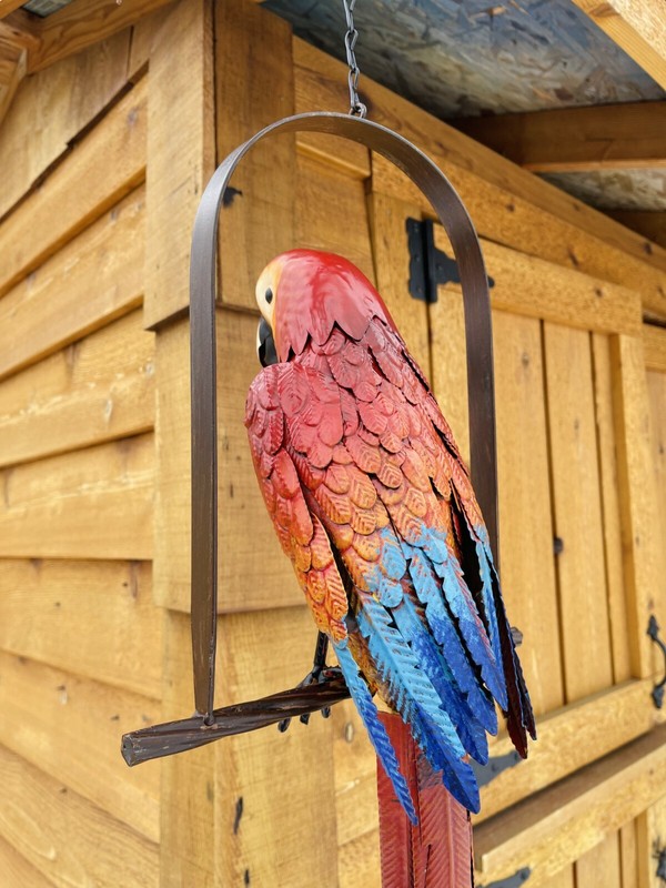 Hanging Whimsical Rustic Metal Swinging Macaw Parrot Tropical Bird On Chain Yard gallery