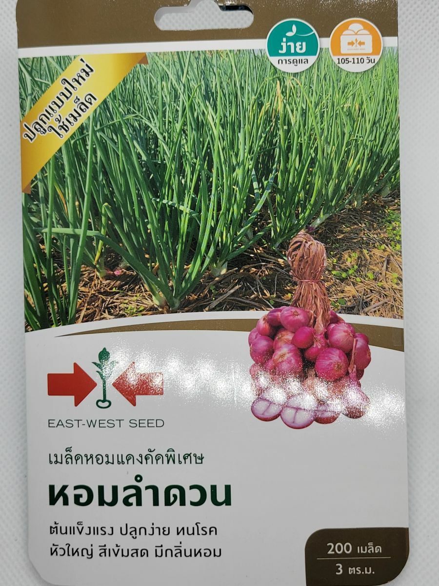 Premium Thai Asian Onion Shallot Seeds gallery