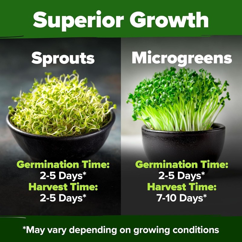 Broccoli Sprouting & Microgreens Seeds - 64,200 Non-GMO Heirloom gallery