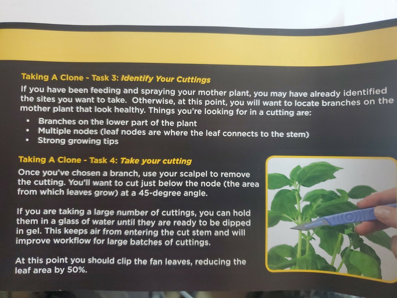 Clonex Gel 100ml Rooting Compound Clone Cutting 100ml. NEW FRESH BATCH gallery