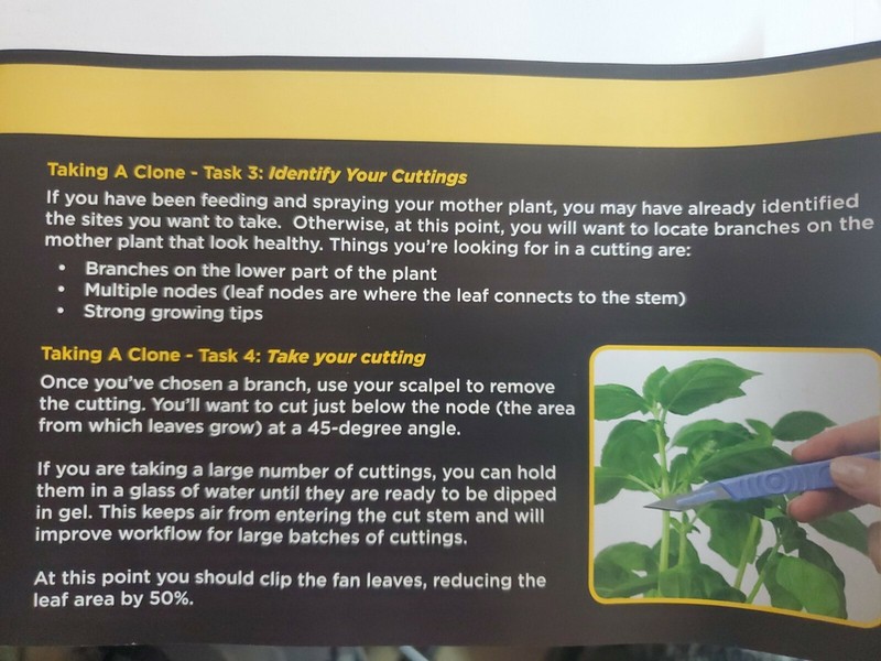 Clonex Gel 100ml Rooting Compound Clone Cutting 100ml. NEW FRESH BATCH gallery