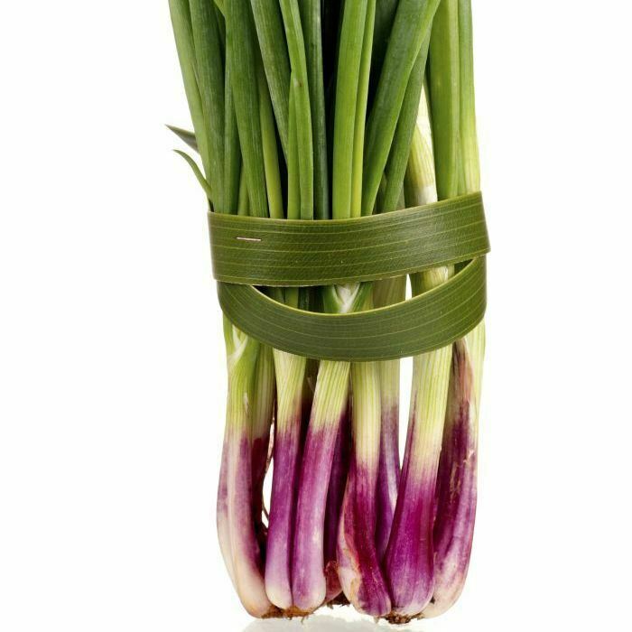 ***On Order*** 200 Red Welsh Bunching Onion Seeds, HEIRLOOM, NON-GMO gallery