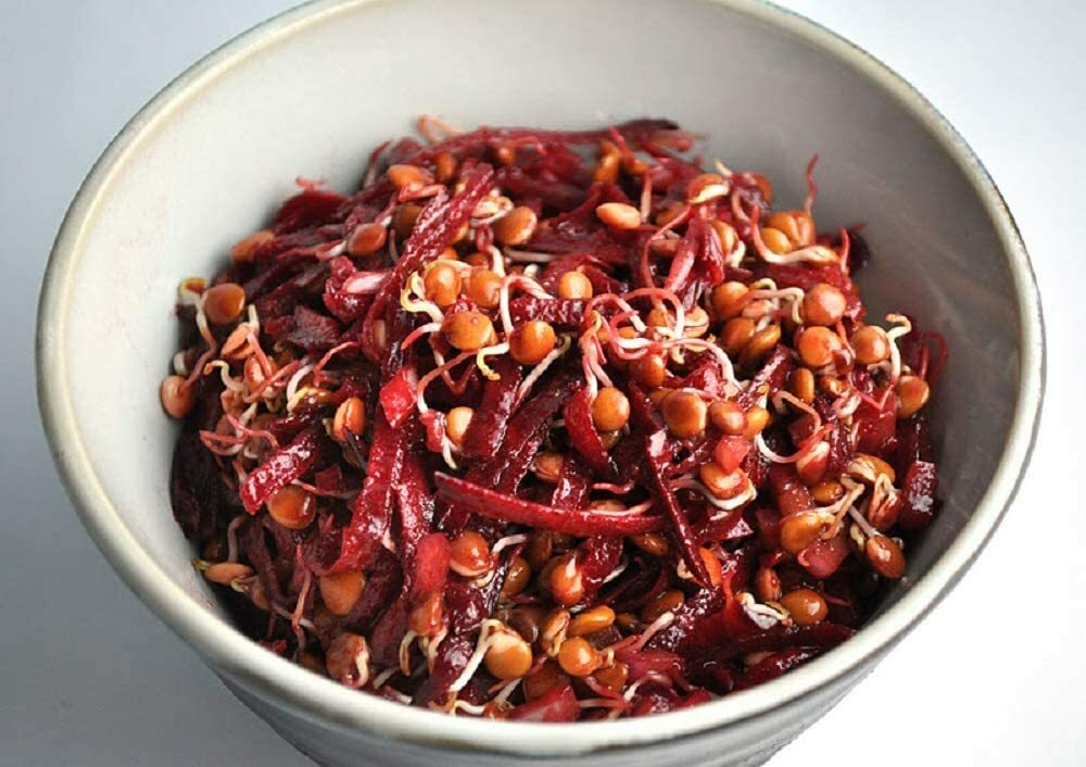 Red Lentil Seeds for Sprouting Microgreens, COOL BEANS N SPROUTS gallery