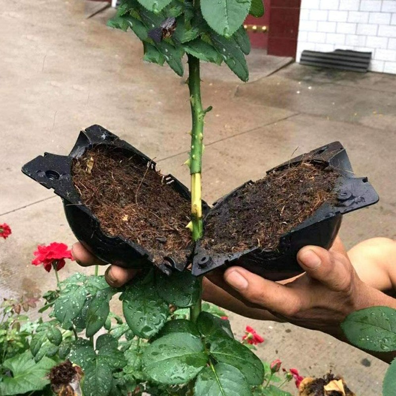 10/20Pcs 8CM Plant Root Craft Boxes High Pressure Propagation Layering Pod Balls gallery