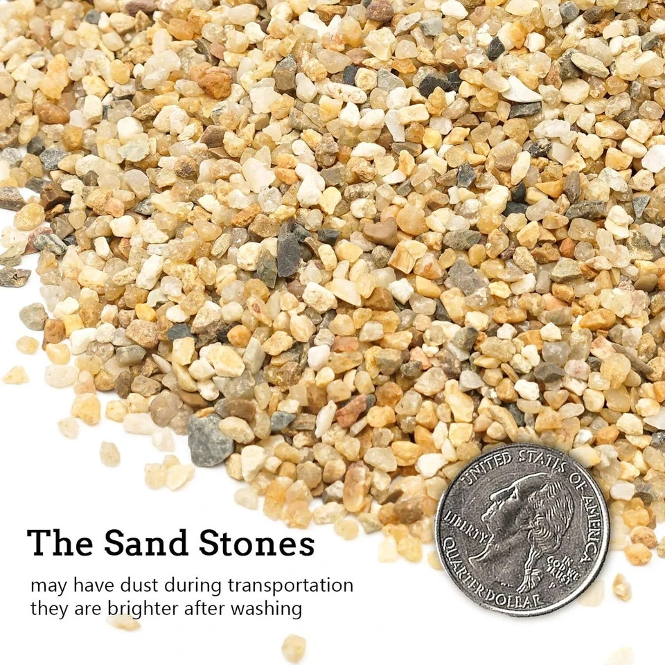 Coarse Sand Stone - Silica Sand for Plants, Soil Cover Succulents and Cactus Bon gallery