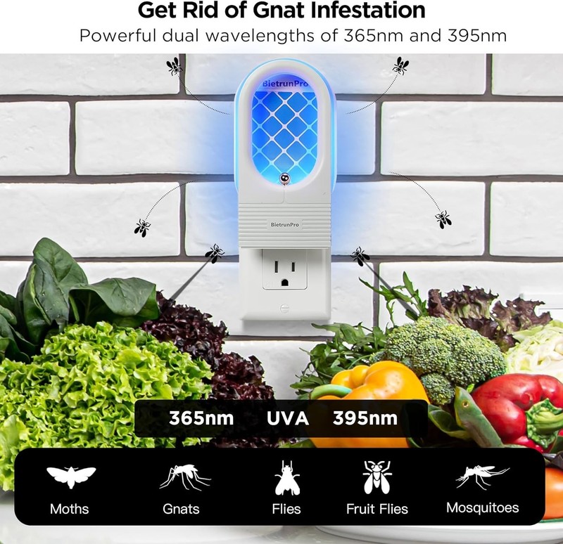 Safe & Silent Indoor Catches: 2 UV Plug-in Traps for House, Kitchen & Office Use gallery