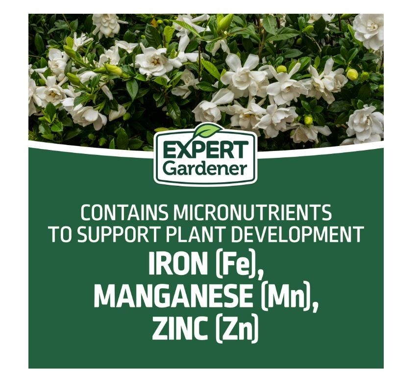 Expert Gardener Evergreen Tree and Shrub Plant Food, 16-4-8 Fertilizer, 4 lb. gallery