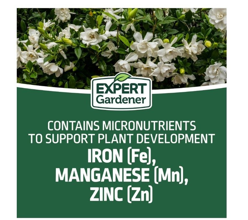 Expert Gardener Evergreen Tree and Shrub Plant Food, 16-4-8 Fertilizer, 4 lb. gallery