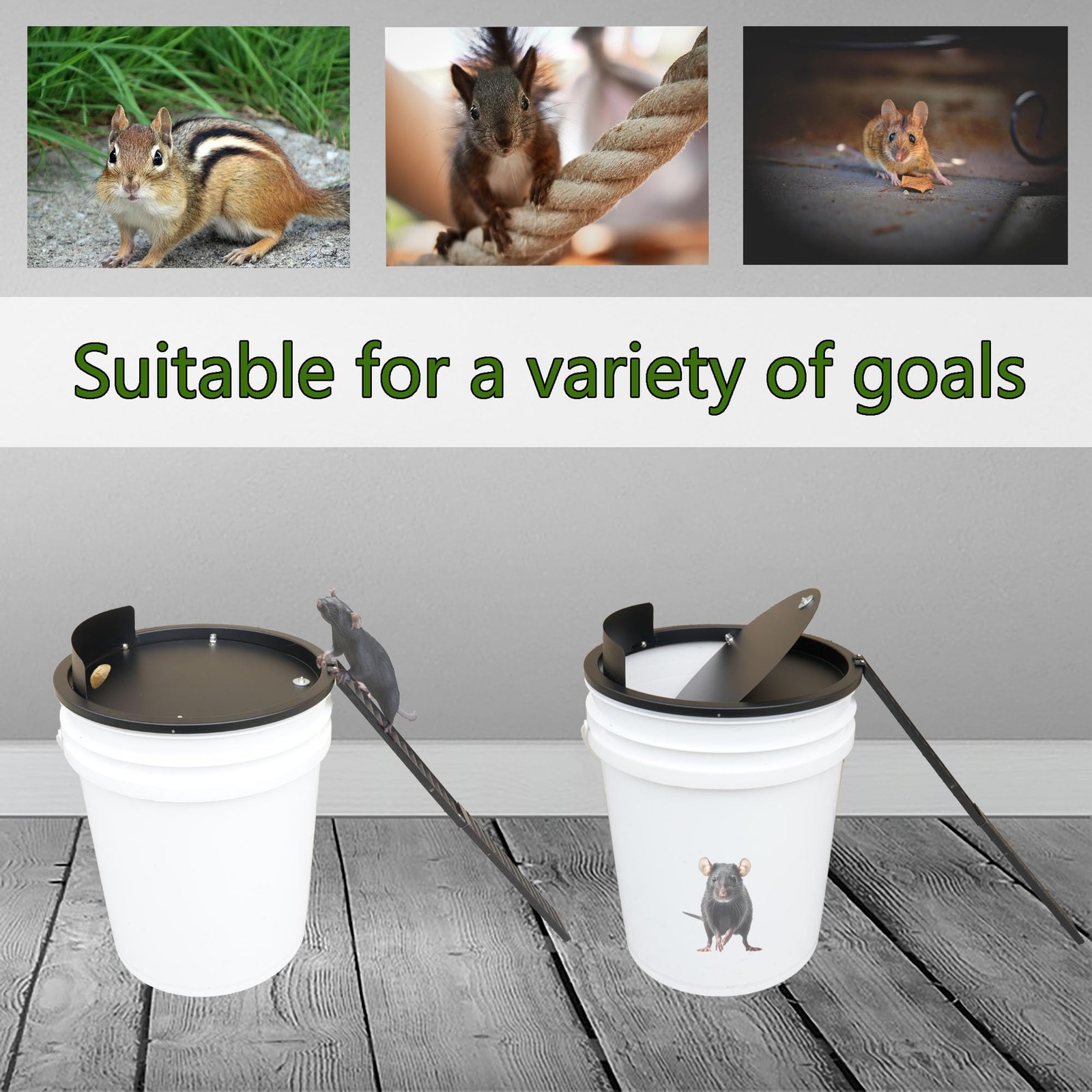 Bucket Lid Mouse Trap Metal 5 Gallon Bucket lid,Strong Metal Material that Ca... gallery