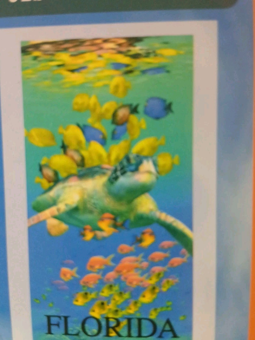 Florida Tropical Fish & Turtle Beach Towel, New, Unisex, All Ages, Cotton gallery