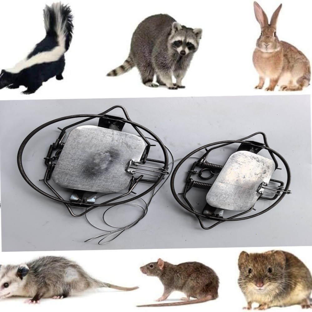 3Counts 5.12In / 13cm Strong Power Coil Spring Nutria Rabbit Trap Mice Rat Mouse gallery