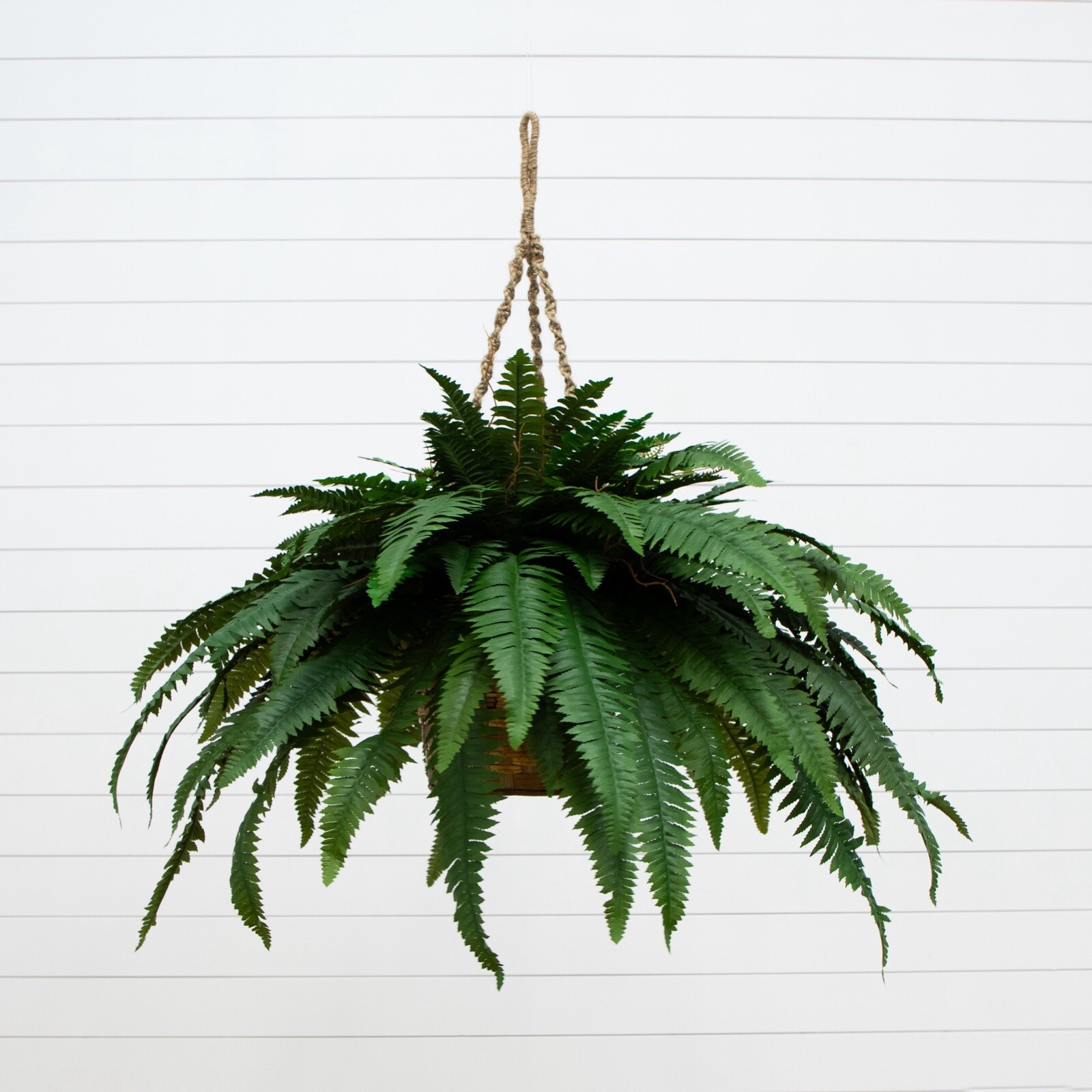 29" Double Giant Artificial Boston Fern in Hanging Basket. Retail $139 gallery