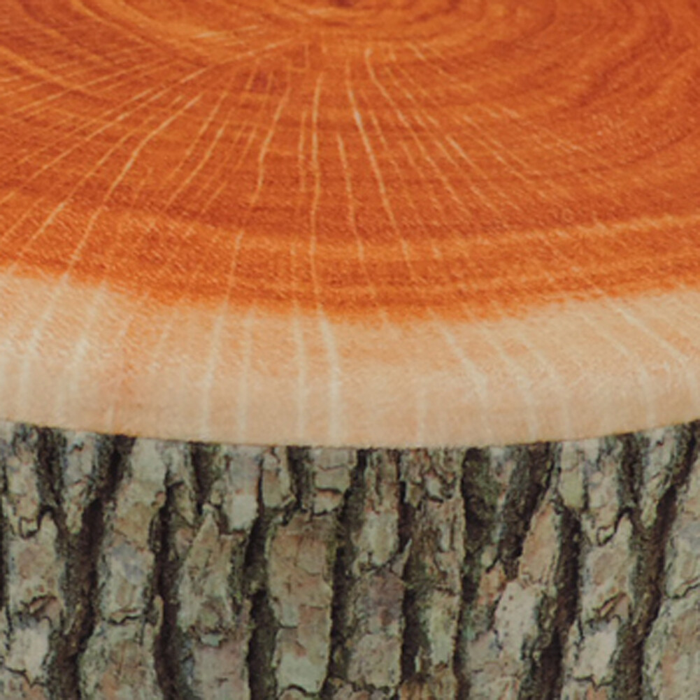 Wood Log Slice Realistic Soft Velvet Foam Pillow gallery