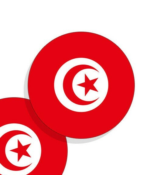 Tunisia Flag Stickers Flag Decals Round Indoor Outdoor Circles Tunisia 4 pack gallery