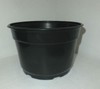 8" Round PLASTIC MUM POTS - SET OF 25 - {8" x 5"} flower nursery pan gallery