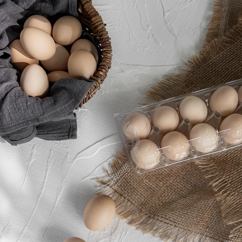 48 Pack Egg Cartons Cheap Bulk 12 Count 1 Dozen Clear Empty Chicken Egg Carto... gallery