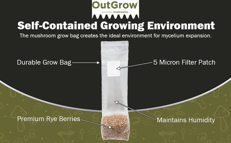 Rye Berry Mushroom Substrate (2 one pound bags!) gallery