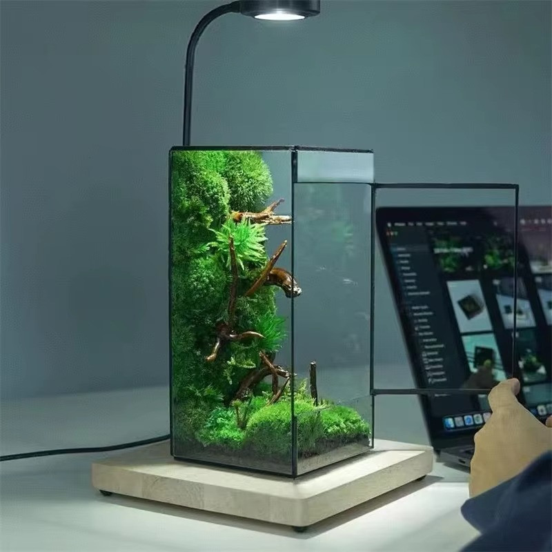 Mini Rainforest Glass Terrarium Tabletop Decor gallery