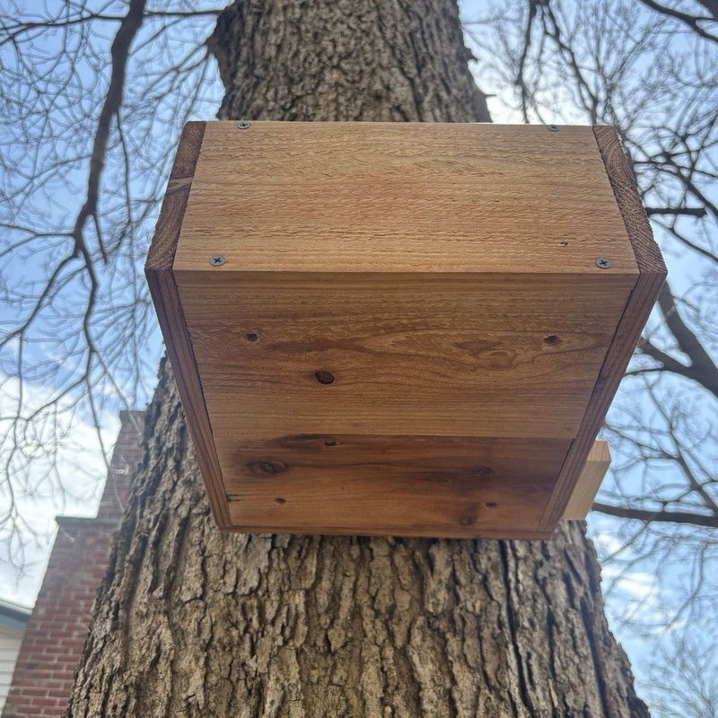 Large Solid Cedar Backyard Squirrel House Nesting Box - Wooden W Preditor Guard gallery
