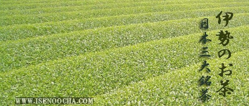 TRY JAPANESE GREEN TEA 7 Sample sets Gyokuro Sencha Kabusecha Genmaicha & more. gallery