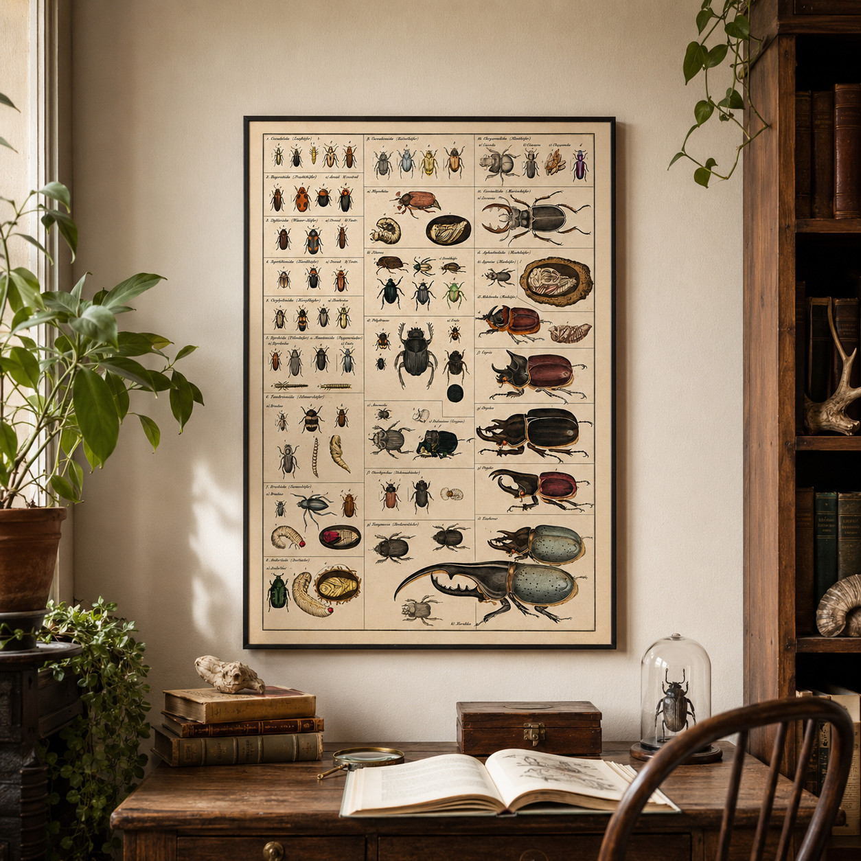 Beetle Entomology Vintage Science Chart Poster Wall Decor | Multiple Sizes gallery