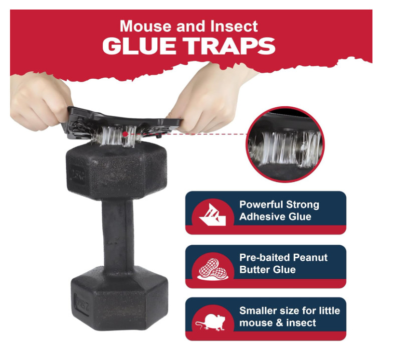 Mouse & Insect Traps 12 Pack, Heavier Sticky Traps with Non-Toxic Glue for Mice gallery