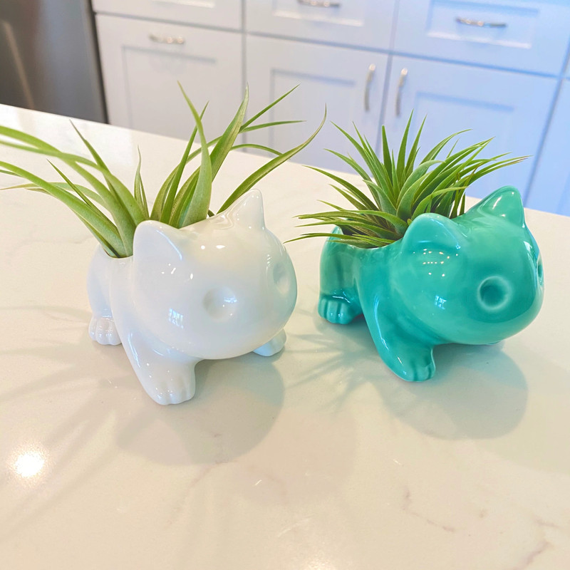 Bulbasaur Planter br (Includes Drainage Hole For Non Air Plants) gallery