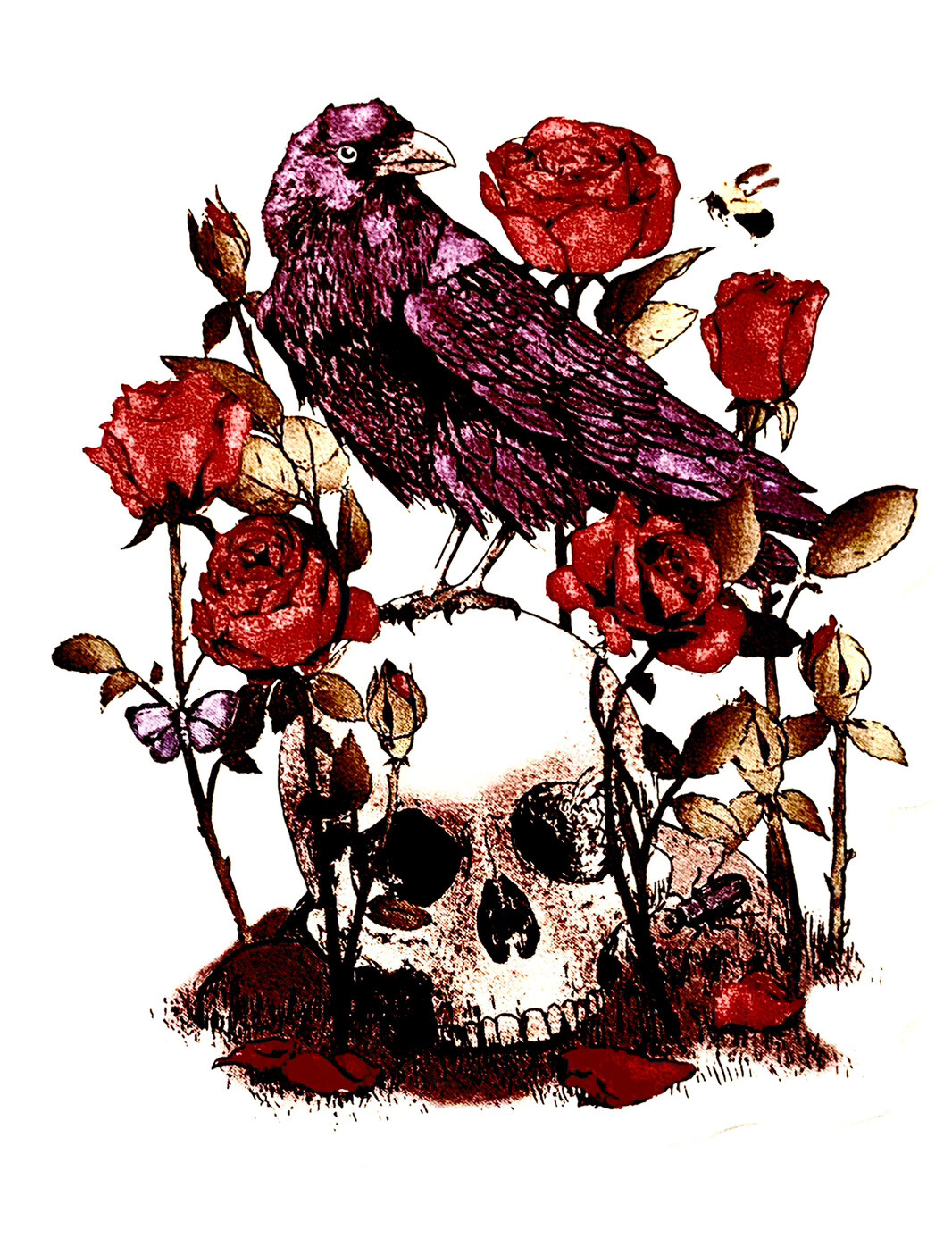 Skull Raven 2" Sticker Nevermore Edgar Allen Poe Dark Art Fiction Fantasy Black gallery