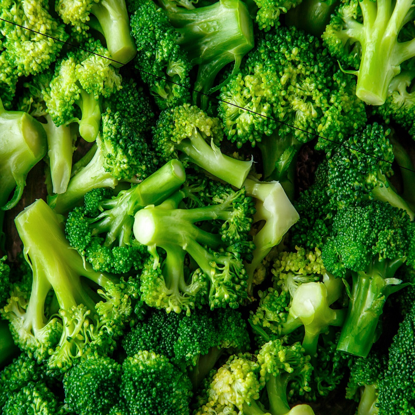 Organic Broccoli Seeds | Heirloom | Non-GMO | Fresh Garden Seeds gallery