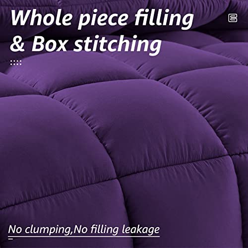 All Season Queen Size Bed Comforter - Cooling Goose Down Queen（88*88） Purple gallery