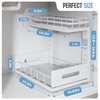 Biboraya 2-Pack Under Sink Organizer - 2-Tier Pull Out Shelves w/Smooth Ball Bea gallery