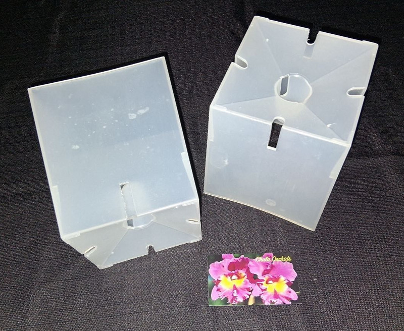 (2) 5 inch Square Chula Orchids heavy duty clear plastic orchid pot Aircone lot gallery