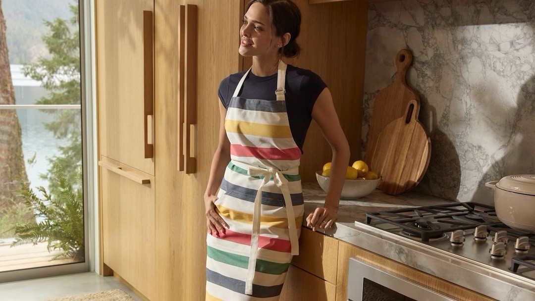 Hudson's Bay Stripes - HBC STRIPES Apron, Multi-Coloured - BRAND NEW gallery