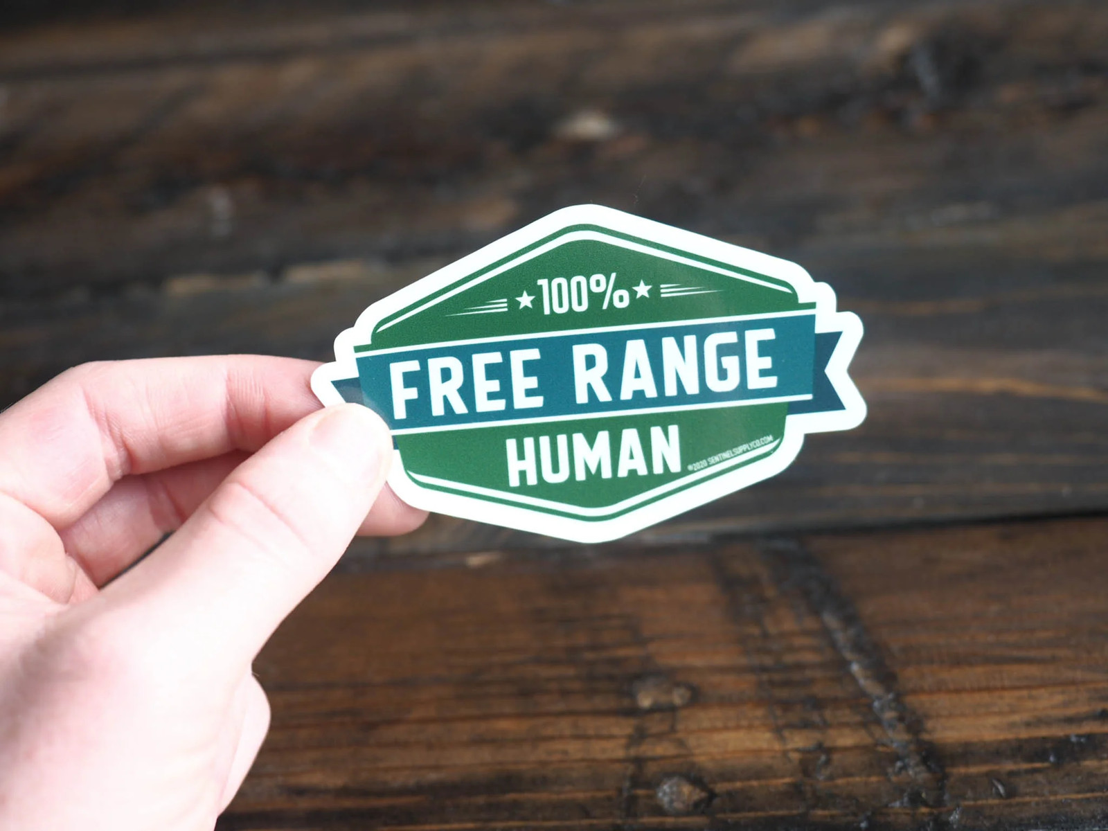Free Range Human Sticker gallery