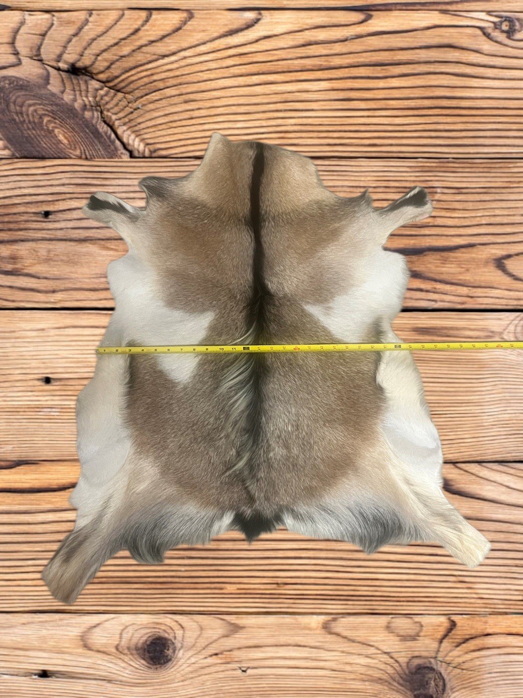 Large GOAT Western Hide Rug Natural Pattern Fur Goat Hide 34” X24” gallery