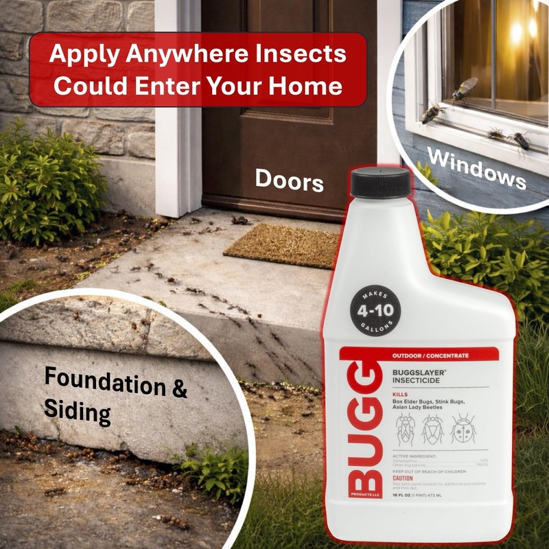 - Concentrate - Outdoor Box Elder Bugs, Stink Bugs, Asian Lady - 16 oz Bottle gallery
