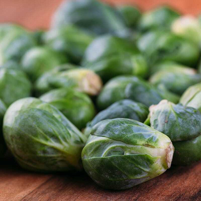 Catskill Brussels Sprouts Seeds, NON-GMO, Variety Packet Sizes, FREE SHIPPING gallery