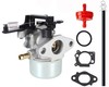 Carburetor Carb for Briggs & Stratton 775 Professional Motor 175cc gallery