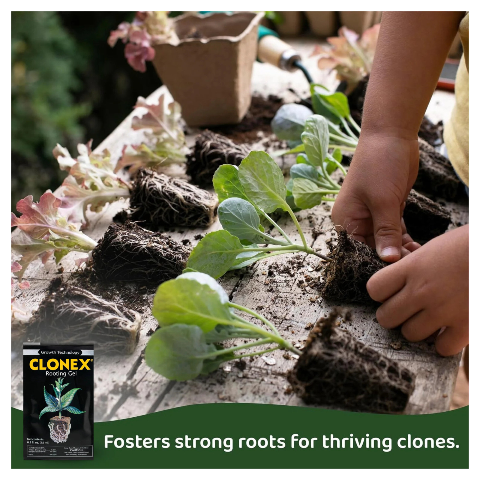 Clonex Rooting Gel 15ml Packets 18 Count Case for Plant Cuttings Clones Seedling gallery