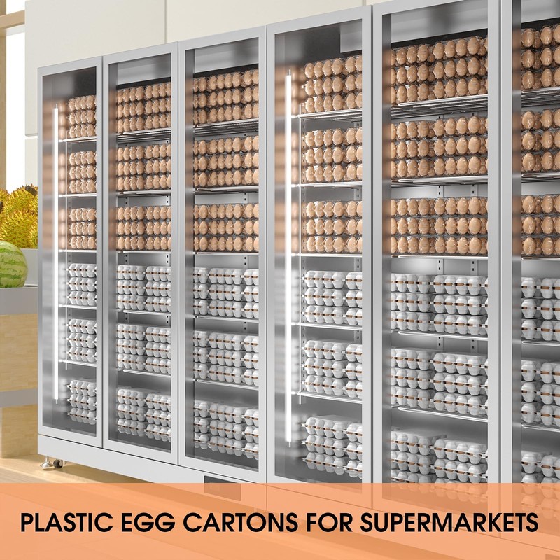 100 Pack Egg Cartons Cheap Bulk 12 Count Clear Plastic Egg Containers For Chicke gallery