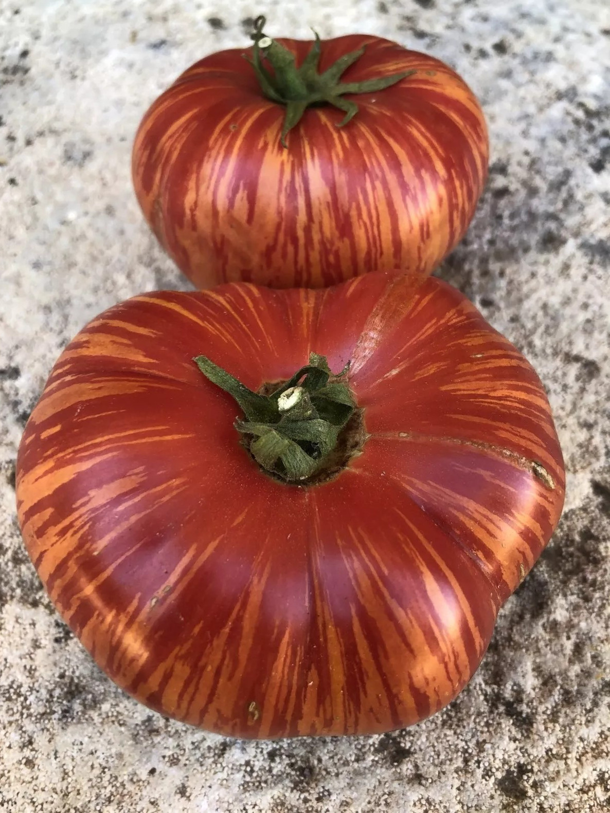 240+ Vintage Wine Striped Tomato Seeds - Beefsteak - Heirloom - HUGE 1 LB - RARE gallery