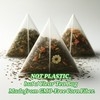 Organic Turmeric, Ginger & Cinnamon - 100 Tea Bags | Plant-Based Pyramid Tea Bag gallery