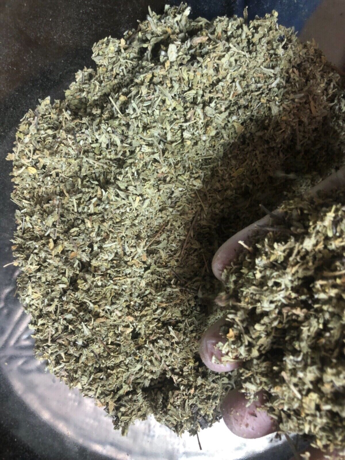DAMIANA wildcrafted bulk cut c/s leaf -get high quality pungent herb -1 lb pound gallery