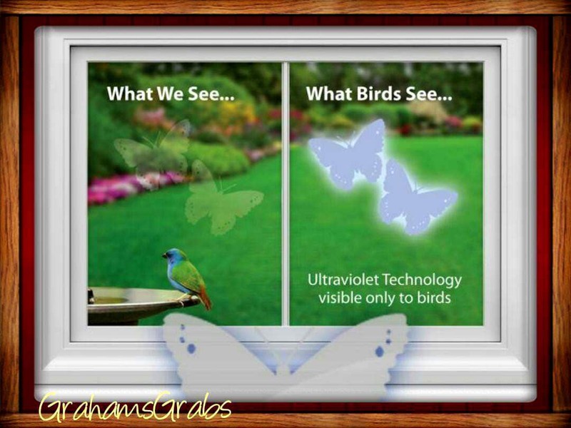 WINDOW ALERT ANTI-COLLISION CLINGS BUTTERFLY DECALS PREVENT WINDOW STRIKES gallery