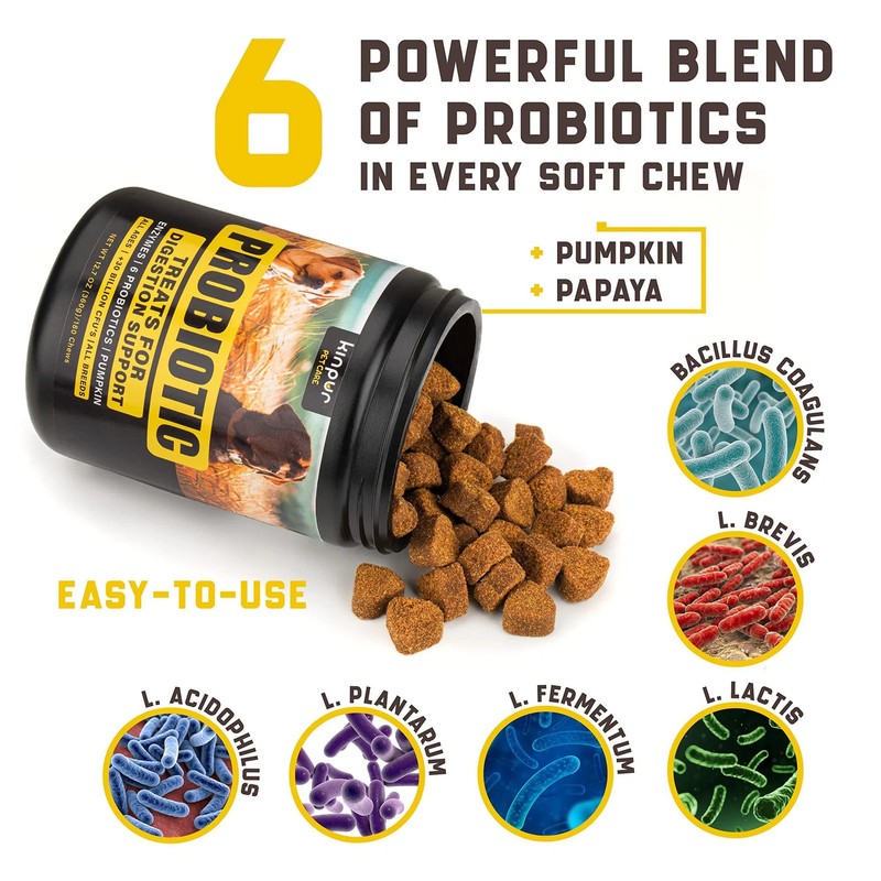 NO AMAZON Probiotics For Dogs Support Gut Health Itchy Skin Allergies Yeast Bala gallery