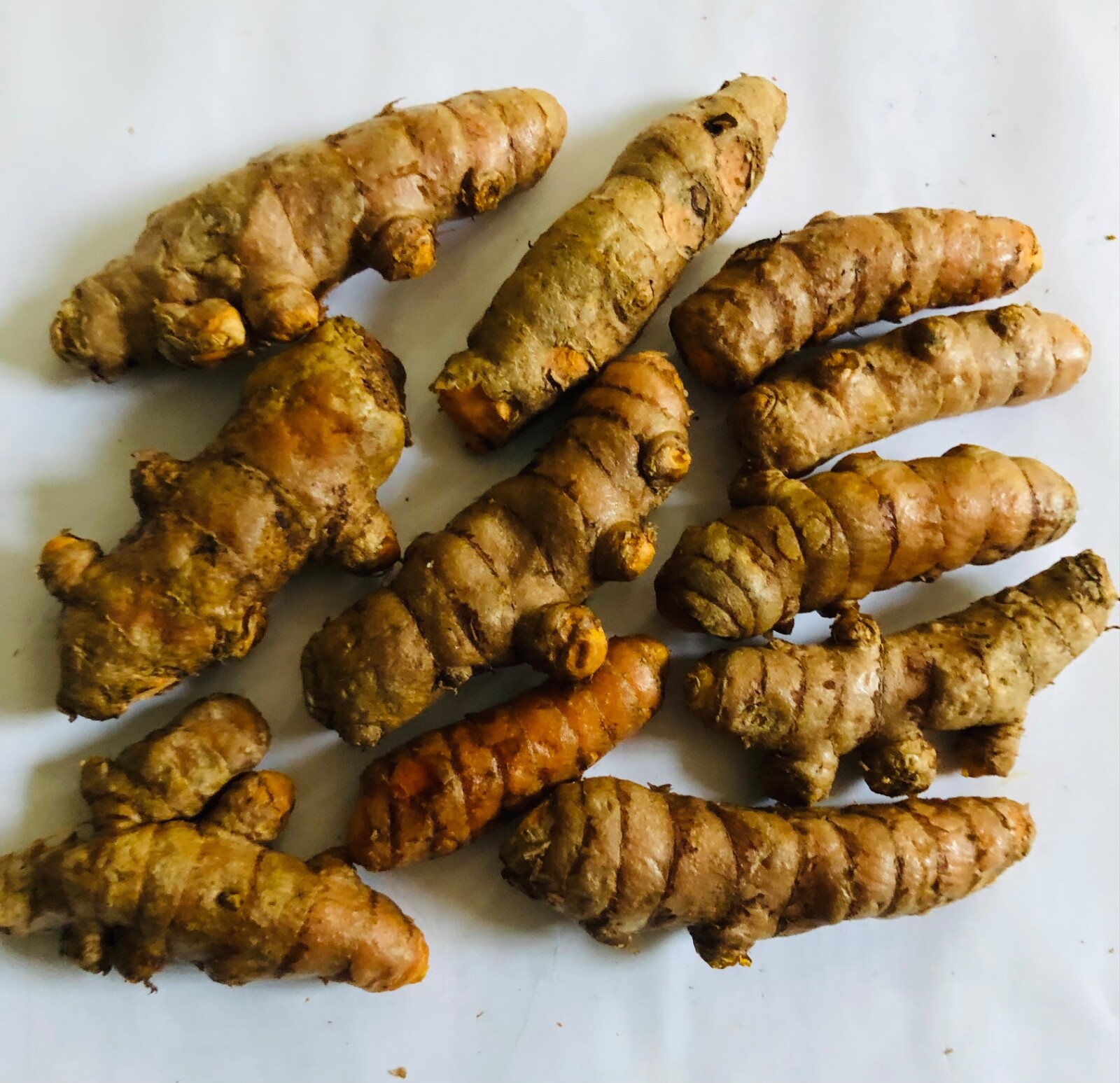 10PCS TUMERIC ROOTS FOR PLANT-CURCUMA LONGA-ARTHRITIS PAIN,MAKE TEA,COOKING gallery