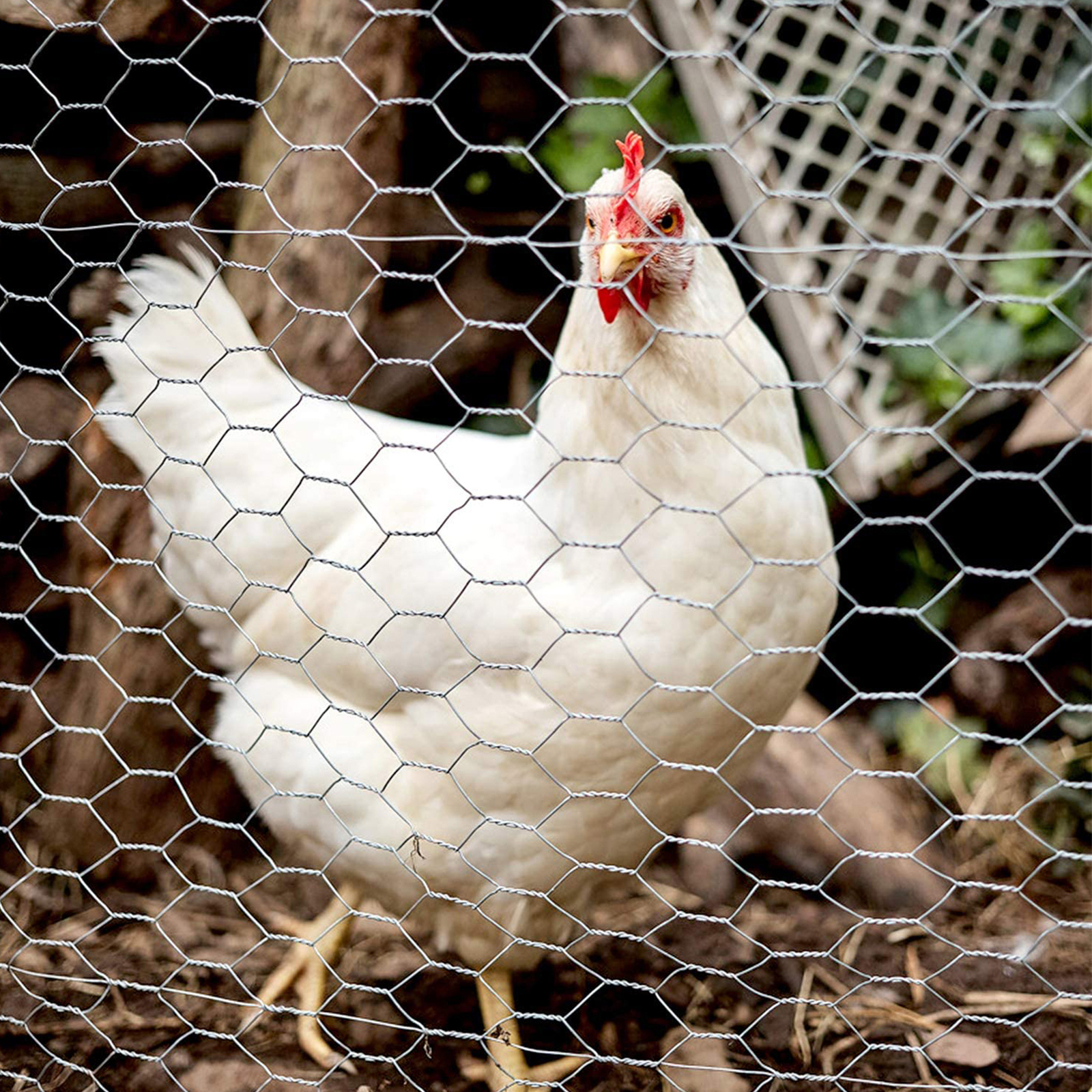 25M Roll Welded Chicken Wire Mesh Animal Fence Barrier Garden Fencing Net Strong gallery