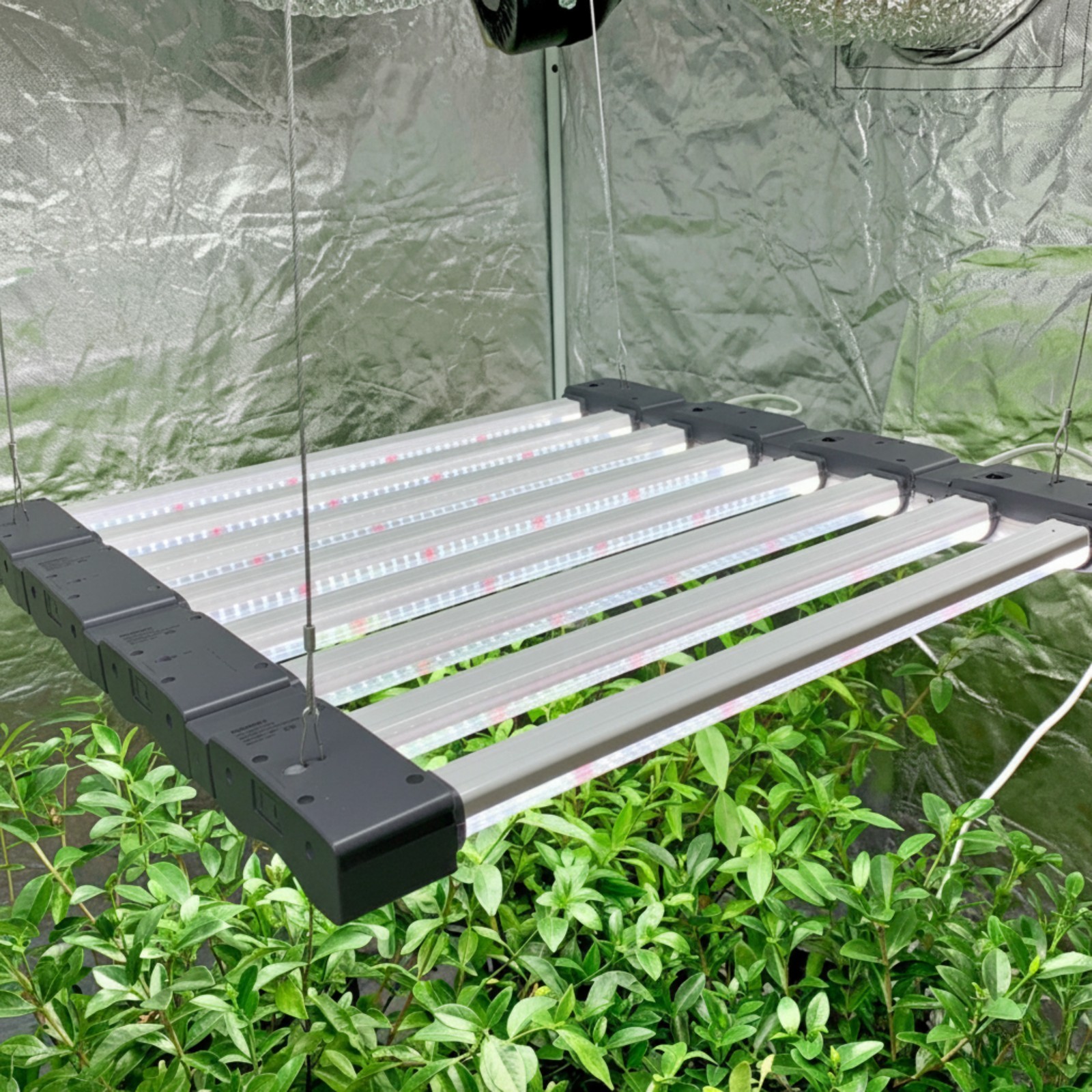 LED Grow Light Full Spectrum Linkable Seedling Veg Hydroponic Grow Lamp gallery