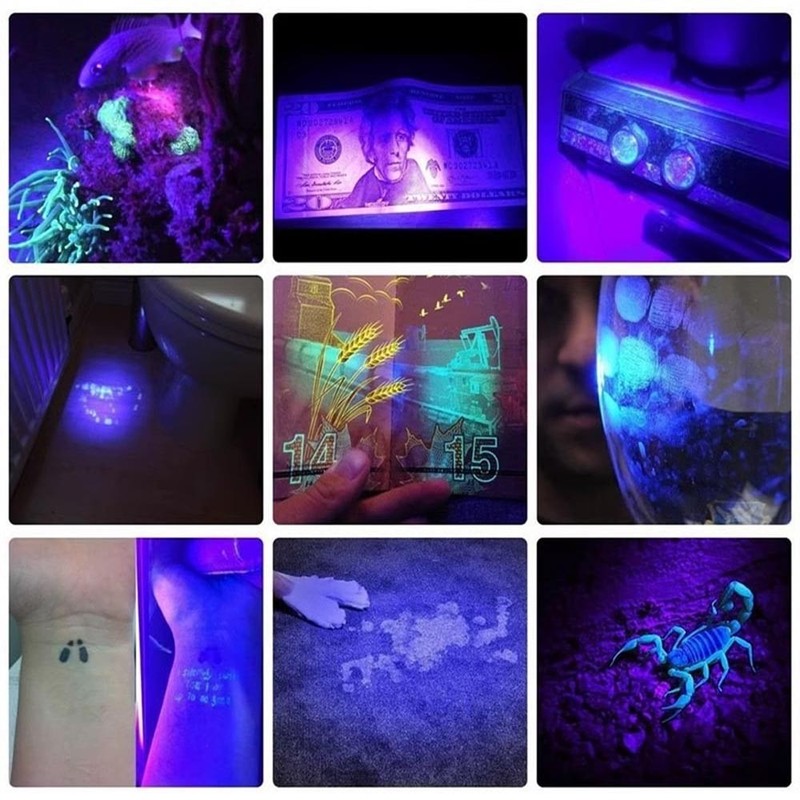 Strong 365Nm LED Flashlight Blacklight UV Light Ultraviolet Inspect Lamp+Battery gallery