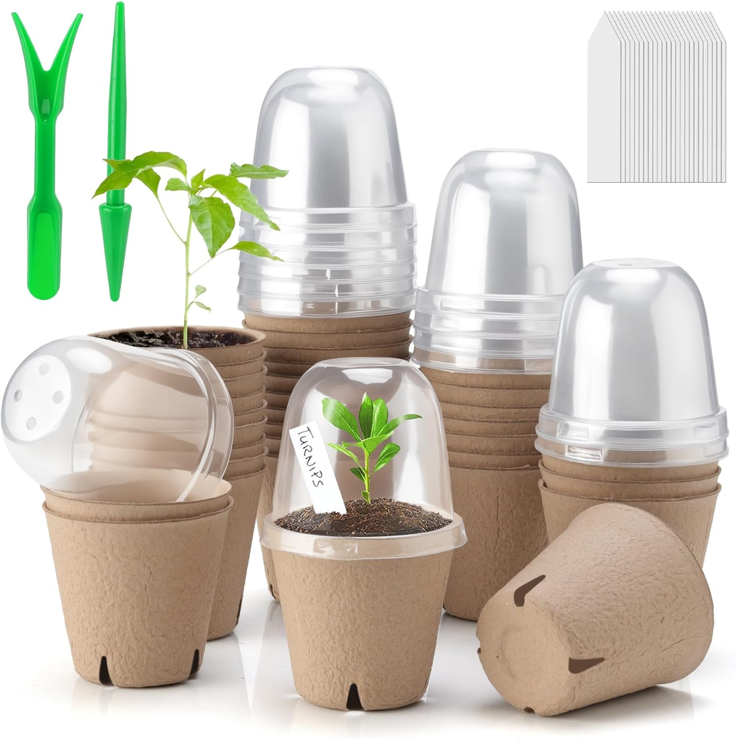 36 Pack Peat Pots with Humidity Domes Labels Seed Starter Kit gallery